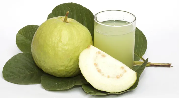 Descubre todos los beneficios de las hojas de guayaba