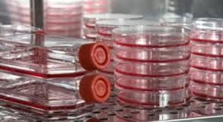 Si todo el mundo estuviera usando la cúrcuma y la vitamina D para para prevenir el cáncer, las farmacéuticas quebraran