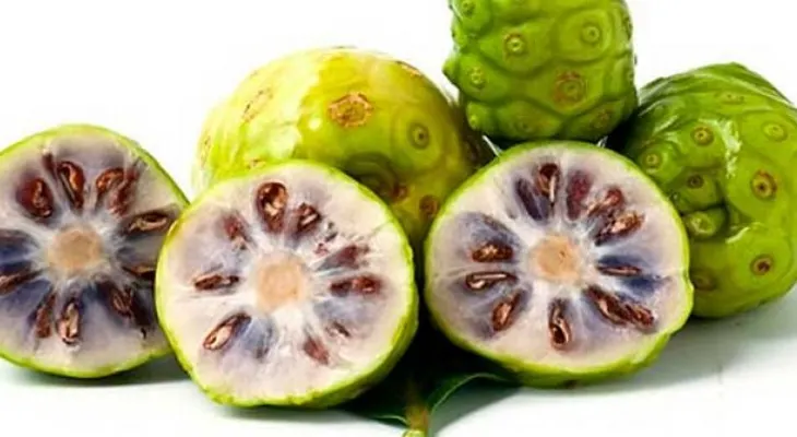 Beber zumo de noni puede curarte de muchas enfermedades 
