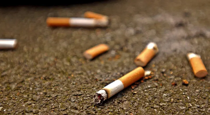  Investigadores dan un uso sustentable a las colillas de cigarros 