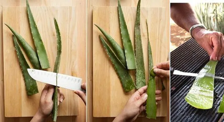 Aloe vera en la cara para una piel suave y brillante al instante