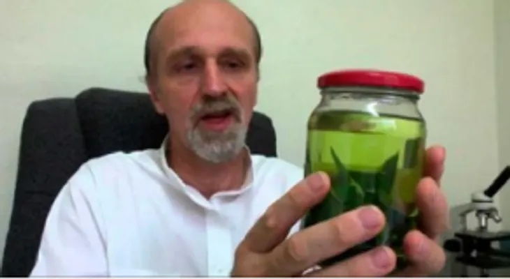 Anota estos beneficios que te aporta la planta de olivo