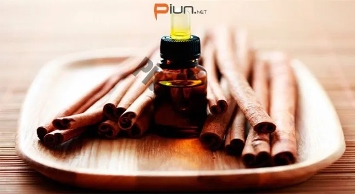 Quema la grasa del vientre tomando solo 6 gotas de este poderoso aceite y además cuida tu salud