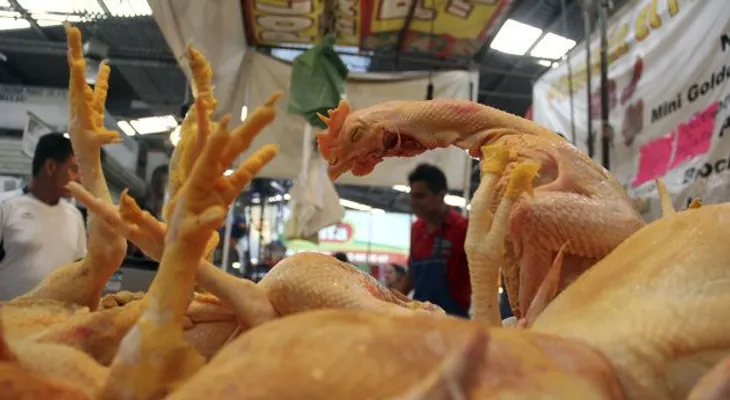 Avicultores: No existe escasez de carne de pollo sino una sobredemanda