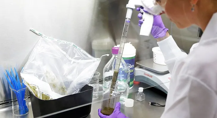 Trasplantes fecales ayudan al tratamiento de personas con cáncer