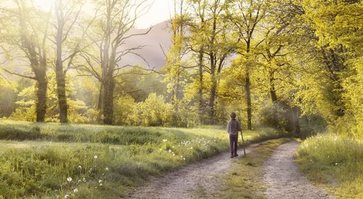 Caminar alivia la tristeza y el estrés; regenera el cerebro