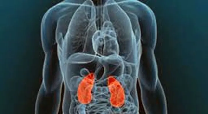 La toxicidad por hierro puede afectar el hígado y corazón