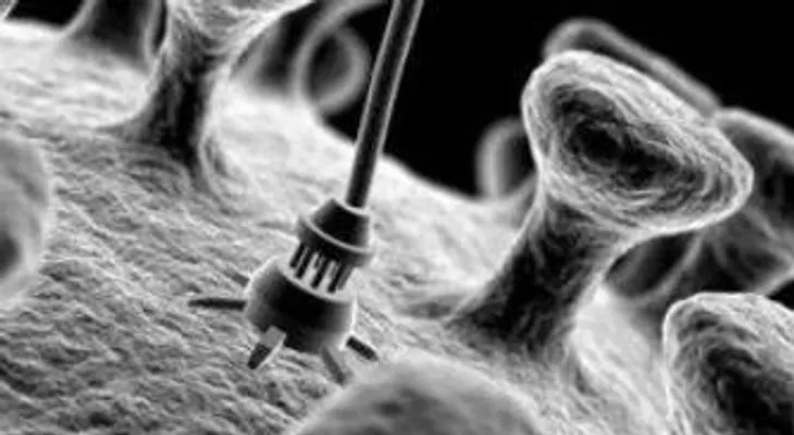 Malasia y Harvard se unen para curar los males pulmonares con nanotecnología 