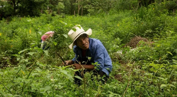 Pandemia puede llevar a 83,4 millones de latinoamericanos a pasar hambre