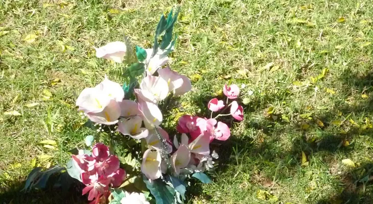 Decenas visitan cementerios para llevar flores en el Día de los Padres
