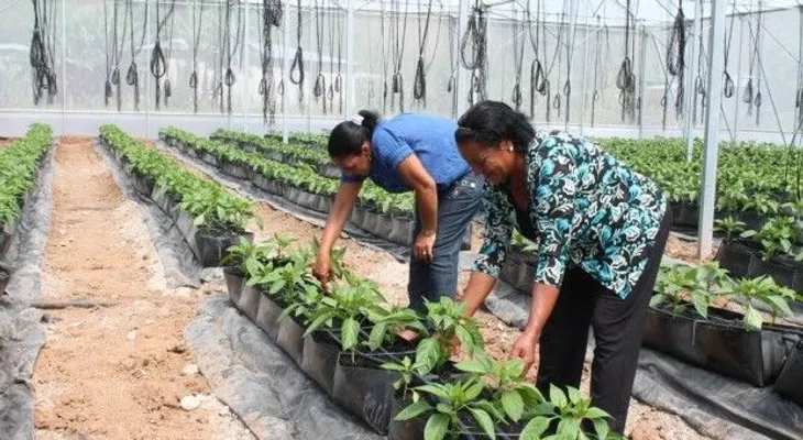 Philip Morris Dominicana y la Fundación Sur inauguraron proyecto agrícola en Azua