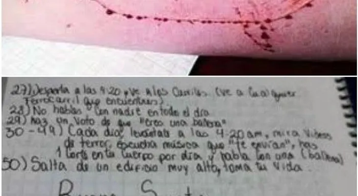 Menores vinculados al peligroso juego de la Ballena Azul en el país son compañeros de estudios