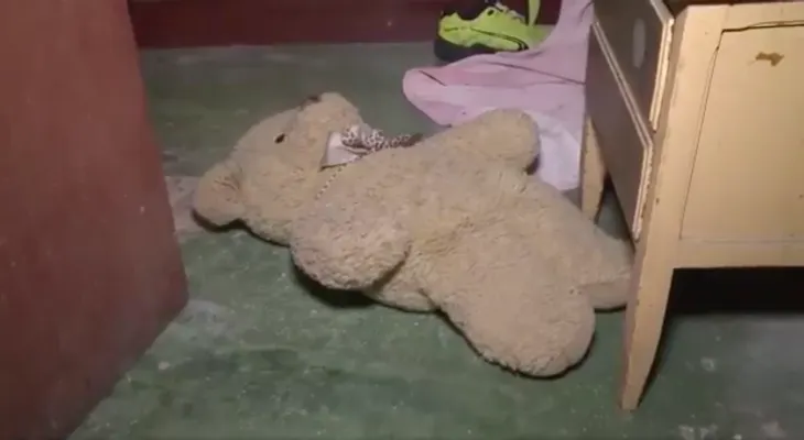 Desmantelan una red de pornografía infantil en Argentina