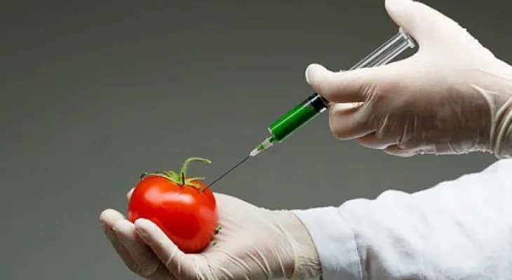 Estos alimentos causan problemas digestivos