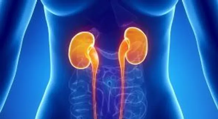 Tips para descubrir si sufres una infección urinaria; síntomas y cuándo acudir al médico