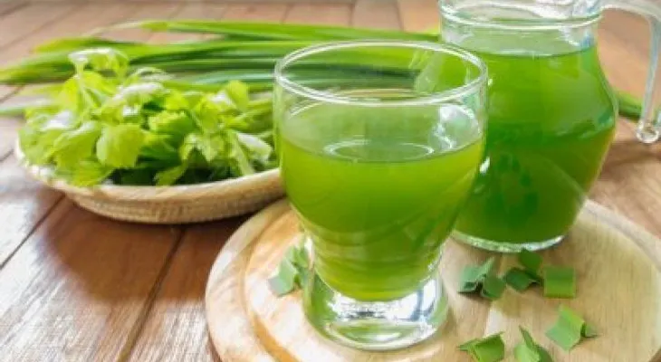 Shake para Quemar Grasa
