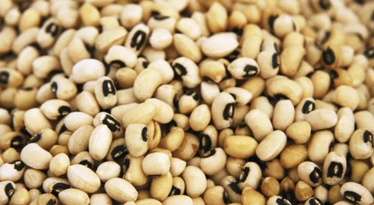 9 alimentos que luchan contra el cáncer