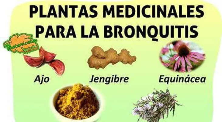 Un efectivo remedio natural para la bronquitis