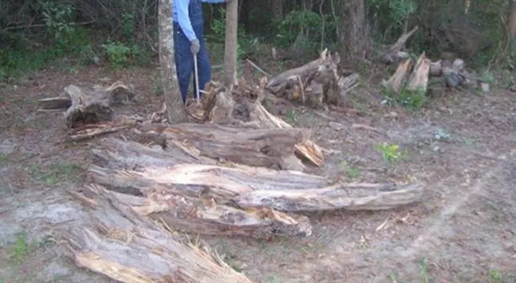 Anciano vende madera para pagar el tratamiento de su mujer con cáncer