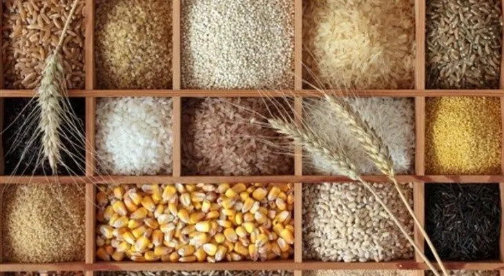  Cereales y semillas: alimentos novedosos y diferentes 
