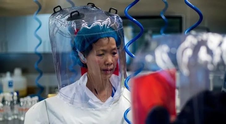 Una prestigiosa viróloga china advirtió un virus ligado a murciélagos un año antes del COVID-19, pero su país lo silenció 