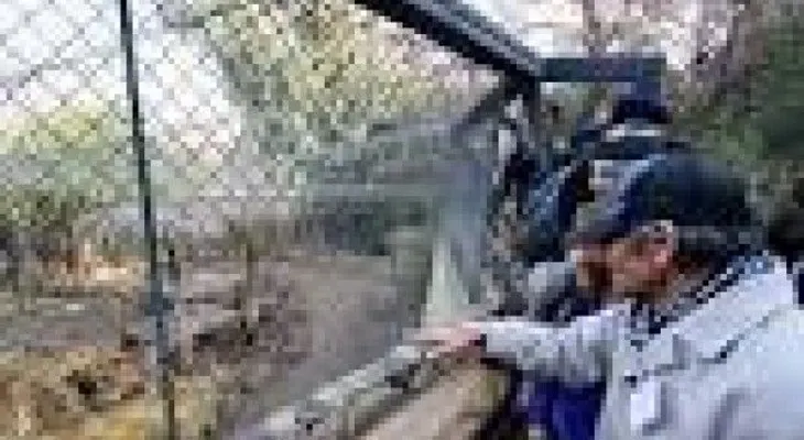 Matan dos leones para salvar hombre que se metió a su jaula pasa suicidarse