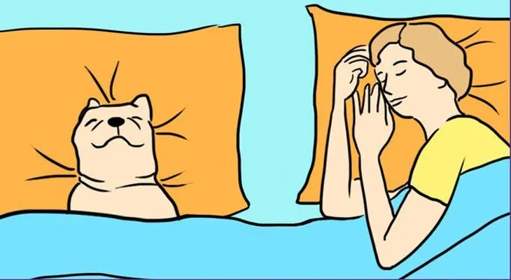 7 sorprendentes razones por las que tu perro debe dormir en tu cama