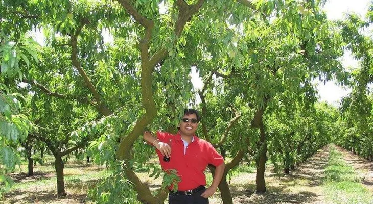 El creador de las alertas de Google ahora se dedica a cultivar almendras