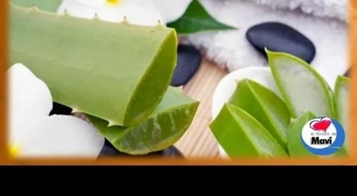 Propiedades curativas sàbila o Aloe Vera (Video)
