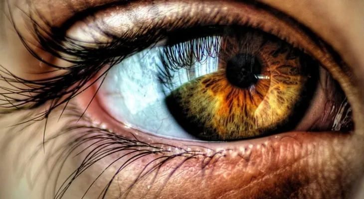Un hombre ciego recupera parcialmente la visión con una terapia optogenética