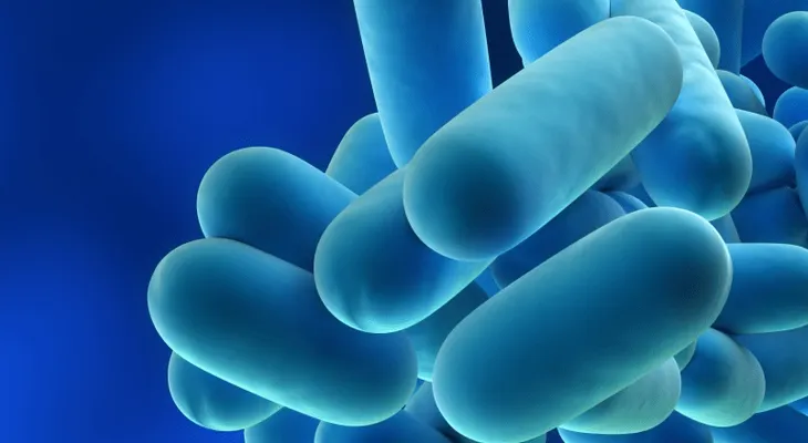 Cierran hotel de Atlanta ante posible foco de legionella