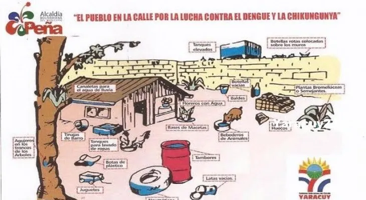 ¿Se puede prevenir la chikungunya?