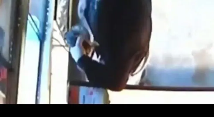 Un ladrón roba una serpiente pitón ocultándola en sus pantalones