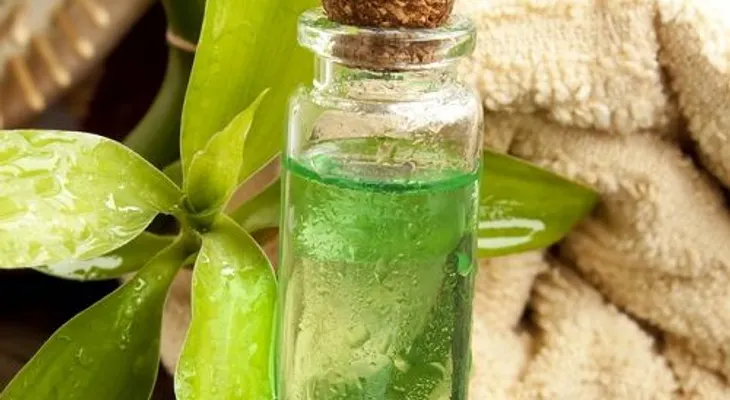 10 mejores aceites esenciales