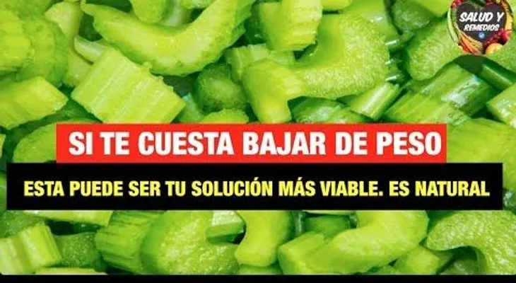 Prepara el Apio de esta forma y me lo agradecerás para siempre, porque cura la hepatitis, gastritis, asma, tiroides y pierde hasta 12 kilos por semana! 