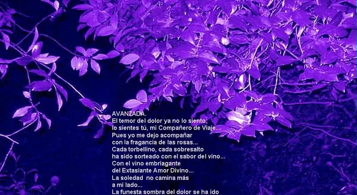 Rosas para el alma  ¡Como torbellino!
