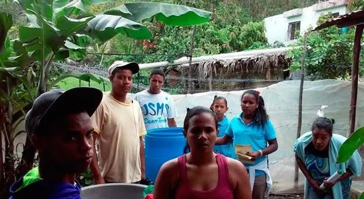 En cada hogar de RD hay un criadero de mosquito transmisor del dengue, chikungunjya y el zica; dice el Ministerio de Salud