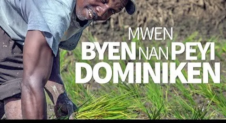 Me va muy bien en dominicana. Haitianos tienen en RD lo que su gobierno les niega