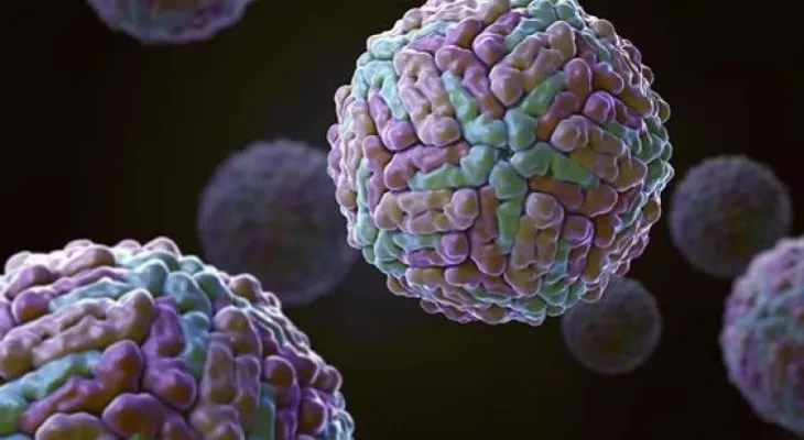 Infección con virus de dengue o Nilo Occidental puede aumentar efecto de zika