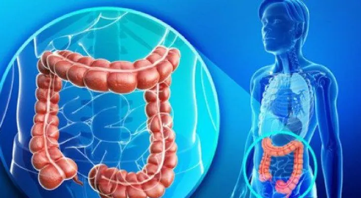Descubre cómo limpiar el colon de forma natural