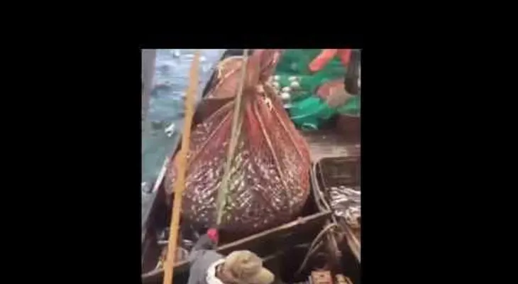 Estos pescadores rusos se llevaron la sorpresa de sus vidas