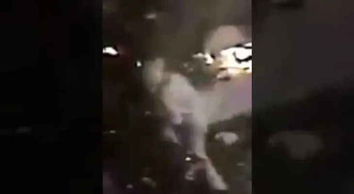 Otras imágenes del atentado del club nocturno en Estambul