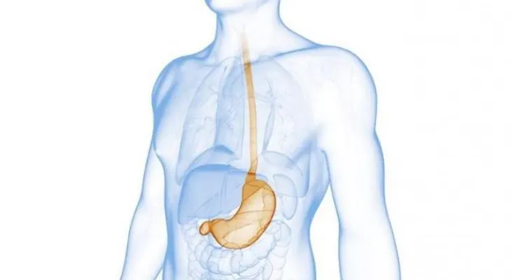 Prevención del Cáncer esofágico implica chequeos después de los 40