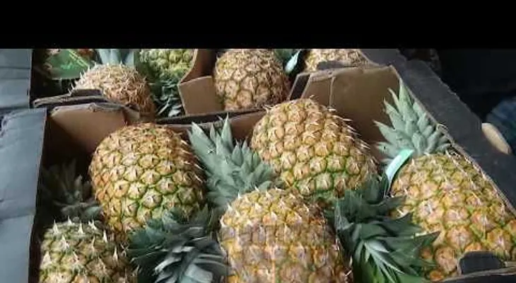 Las frutas tienen sus propias vitaminas, no es necesario agregar azúcar en los jugos, porque perjudica la salud