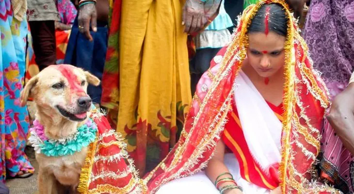 Se casa con un perro para solucionar su mala suerte (Video)