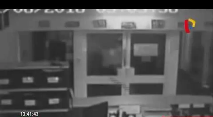 Robo salvaje: Delincuentes lanzan cocodrilos en escuela