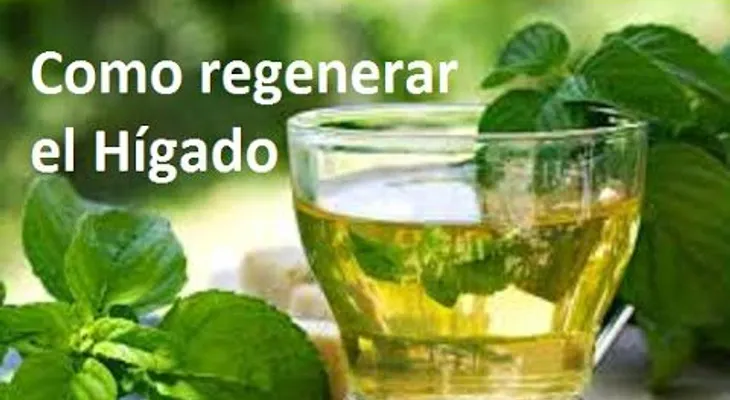 Como cuidar y regenerar el hígado con remedios simples (VIDEO)