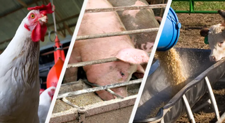 Se encuentra alérgenos alimentarios donde no debería haberlos