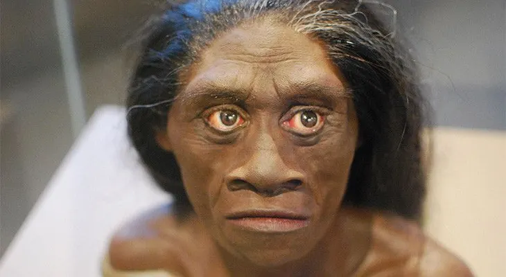 Resuelven el enigmático origen de la antigua especie humana de un metro de altura