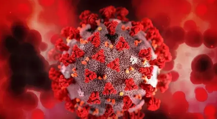 Descubren cinco compuestos que inhiben la proteína que replica el SARS-CoV-2